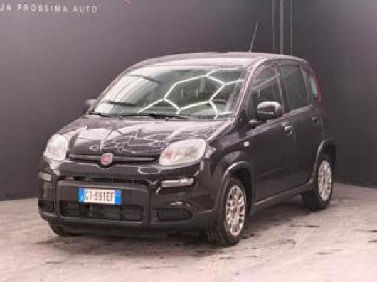 usato FIAT Panda