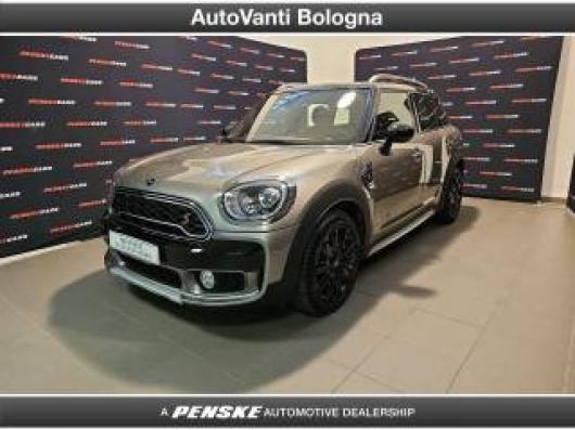 usato MINI Countryman