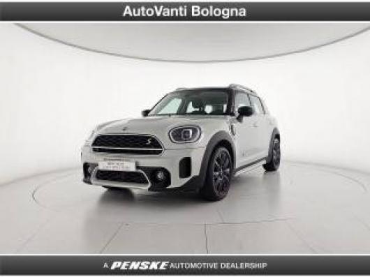 usato MINI Countryman