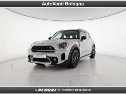 usato MINI Countryman