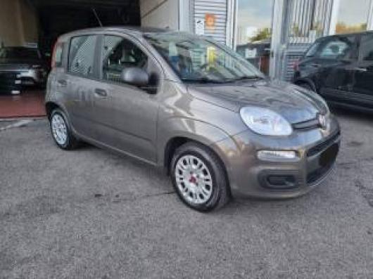 usato FIAT Panda