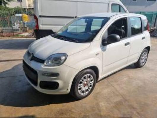 usato FIAT Panda