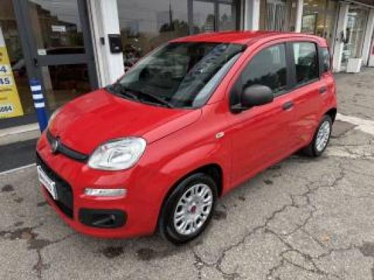 usato FIAT Panda