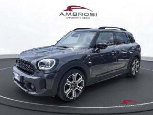 usato MINI Countryman