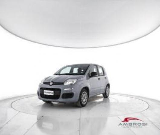 usato FIAT Panda