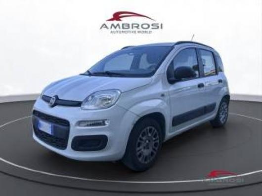 usato FIAT Panda
