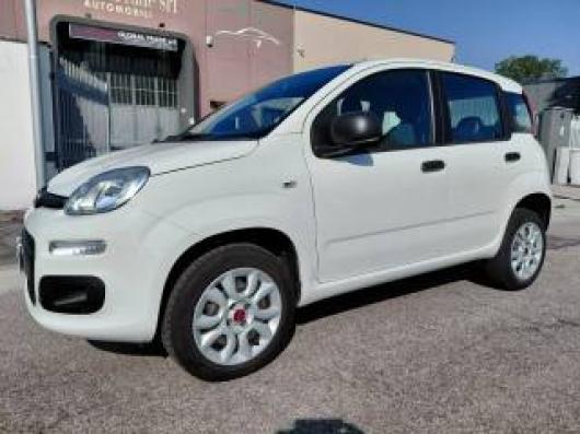 usato FIAT Panda