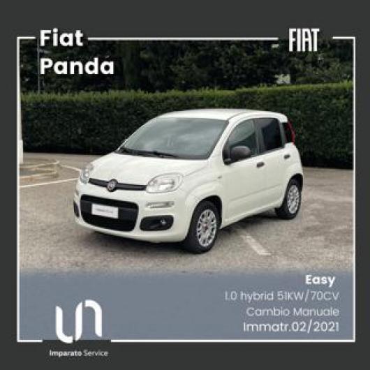 usato FIAT Panda