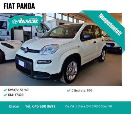 usato FIAT Panda