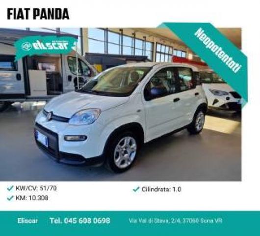 usato FIAT Panda