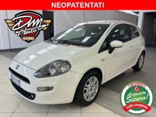 usato FIAT Punto Evo