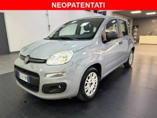 usato FIAT Panda