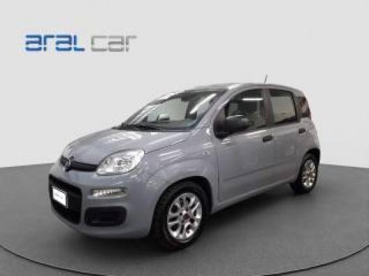 usato FIAT Panda
