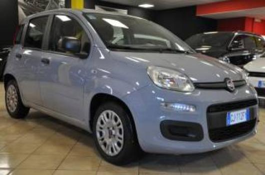 usato FIAT New Panda