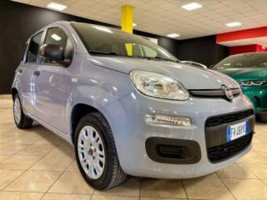 usato FIAT Panda