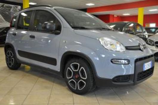 usato FIAT New Panda