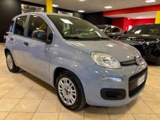 usato FIAT Panda