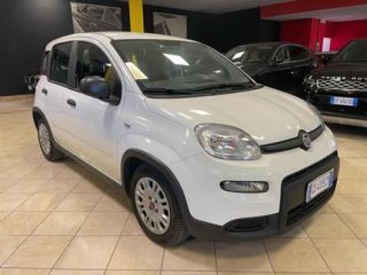 usato FIAT Panda