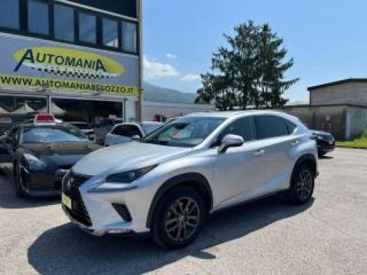 usato LEXUS NX 300