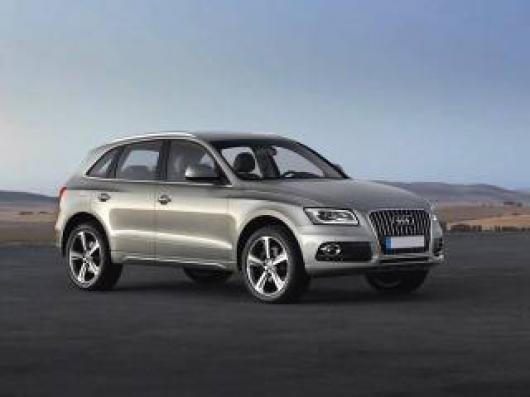 usato AUDI Q5