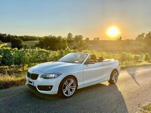 usato BMW  2 Cabrio (2015)