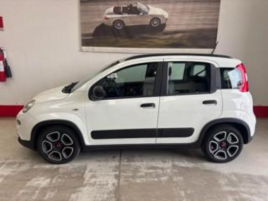 usato FIAT Panda