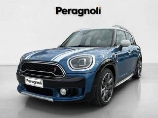 usato MINI Countryman