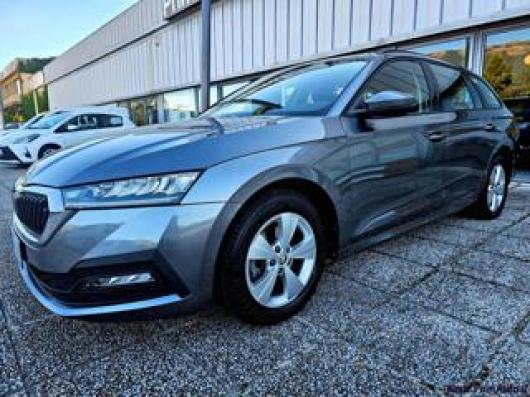 usato SKODA Octavia