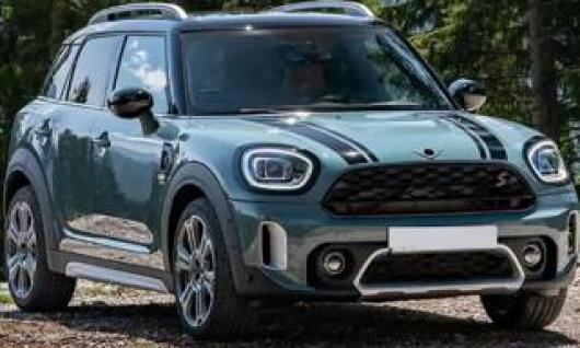 usato MINI Countryman