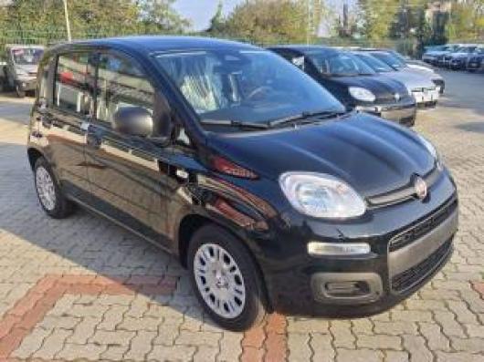 usato FIAT Panda