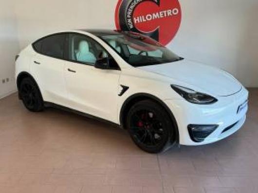 usato TESLA Model Y