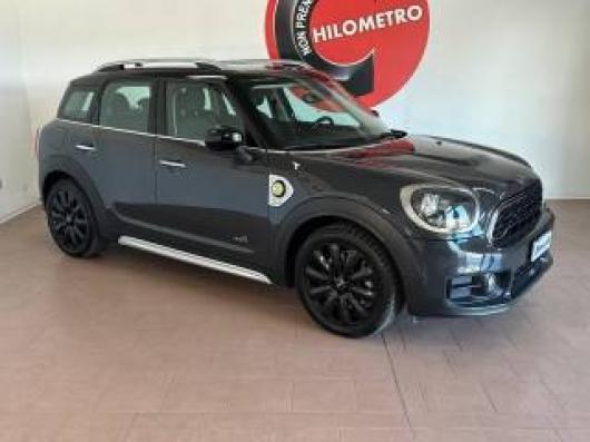 usato MINI Countryman