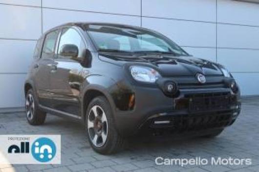 usato FIAT Panda