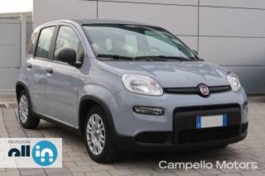 usato FIAT Panda