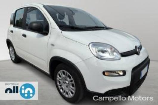 usato FIAT Panda