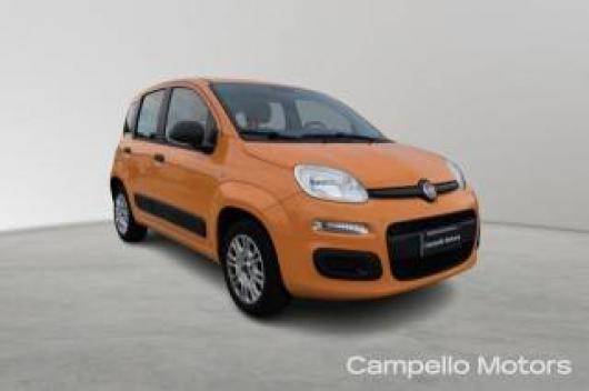 usato FIAT Panda