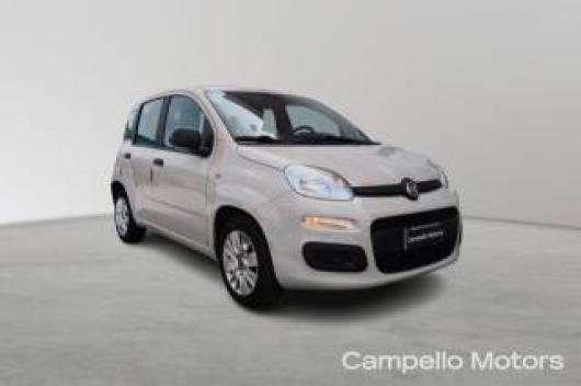 usato FIAT Panda
