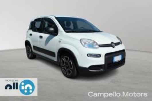 usato FIAT Panda