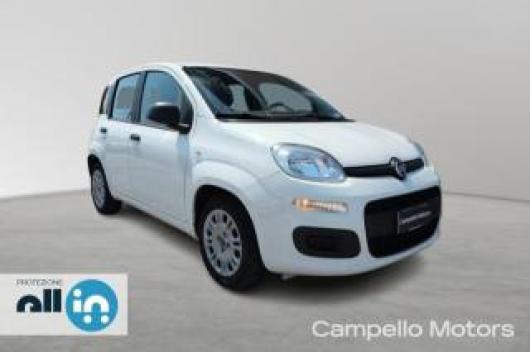 usato FIAT Panda