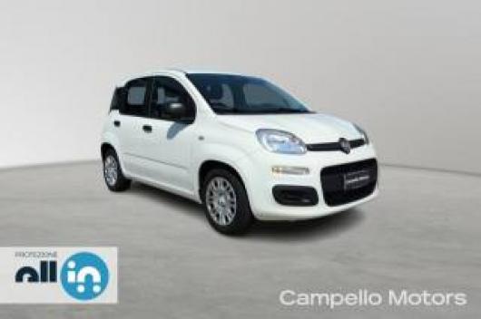 usato FIAT Pandina