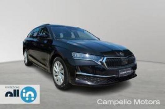 usato SKODA Octavia