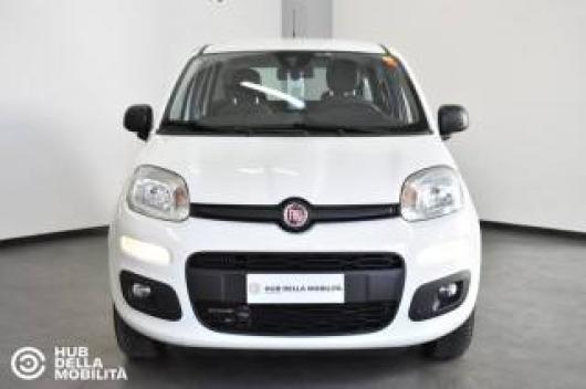 usato FIAT Panda