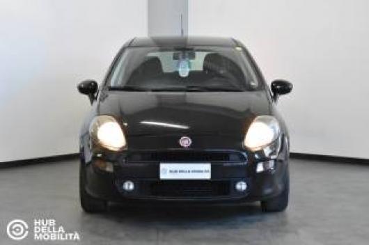 usato FIAT Punto