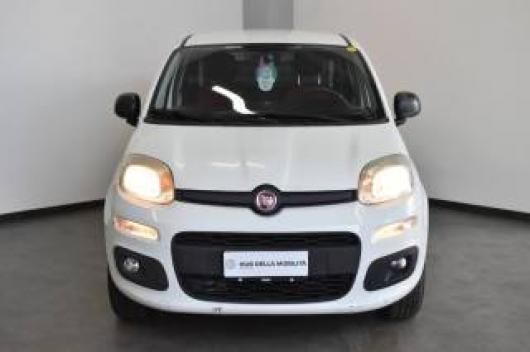 usato FIAT Panda