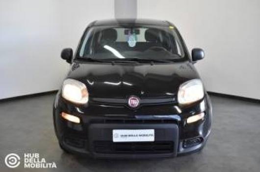 usato FIAT Panda