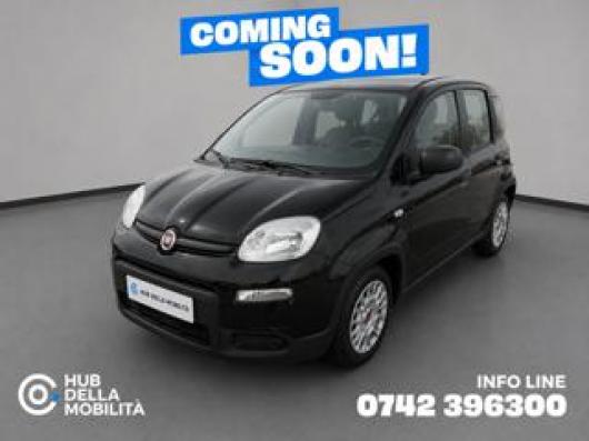 usato FIAT Panda