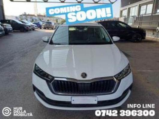 usato SKODA Octavia