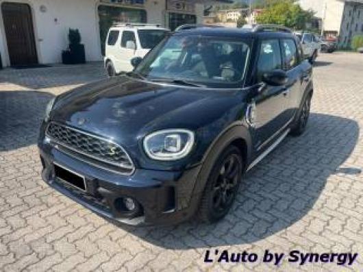 usato MINI Countryman
