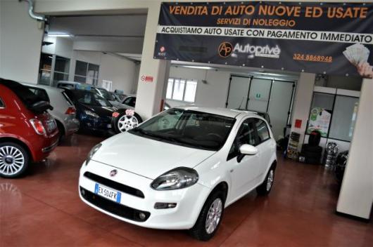 usato FIAT Punto