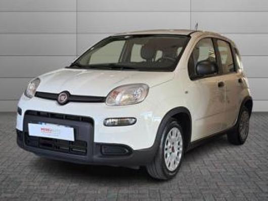 usato FIAT Panda